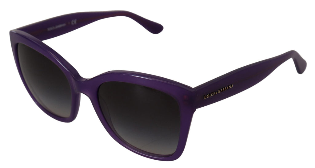 Dolce & Gabbana Purple Acetate Square Full Rim DG4240 Sunglasses Dolce & Gabbana