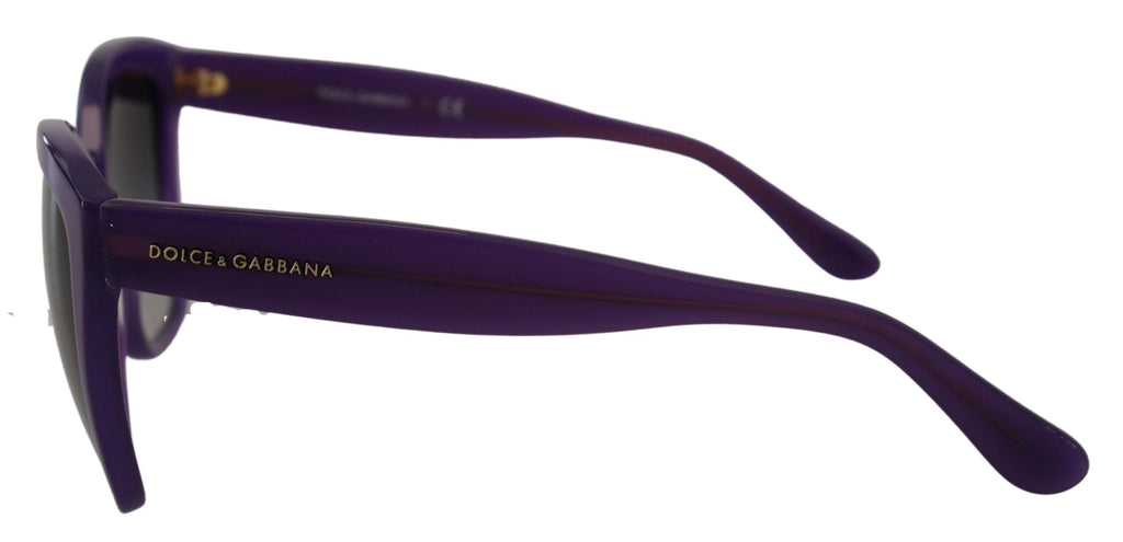 Dolce & Gabbana Purple Acetate Square Full Rim DG4240 Sunglasses Dolce & Gabbana